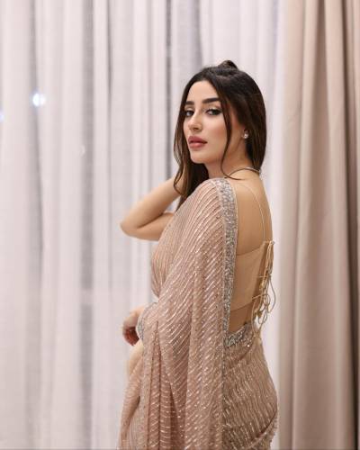 DF 3372 By Sagar Impex Designer Partywear Saree Collection